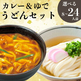 【ふるさと納税】 さぬきうどん ＆ コク旨 カレーうどん 詰め合わせ セット 8人前 16人前 24人前 宮武讃岐製麺所 丸亀からお届け 讃岐うどん 食べ比べ 麺 麺類 個包装 常温 常温保存 日持ち 備蓄 讃岐 香川県 丸亀 丸亀市