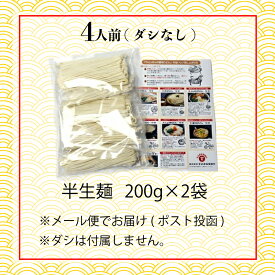 【ふるさと納税】 讃岐うどん 半生麺 4人前 6人前 12人前 ダシなし つけダシ かけダシ 丸亀うどん 讃岐 さぬき 名店 まごころ 香川県 丸亀市