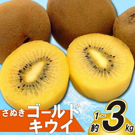 【ふるさと納税】 先行予約 キウイ 約1kg 2kg 3kg キウイフルーツ ゴールドキウイ さぬきゴールドキウイ 果物 果実 フルーツ 旬 デザート 選べる 容量 10月下旬～12月中旬 配送 家庭用 贈答用 ギフト プレゼント 香川県 丸亀市