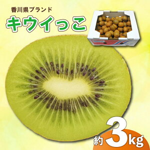 yӂ邳Ɣ[Łz s\ LEC 1.3kg 2kg 3kg LECt[c TCY ʂLEC ʕ ʎ t[c { fU[g Iׂ e 11{`12{ z ƒp p Mt