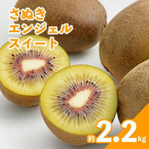 yӂ邳Ɣ[Łz s\ LEC 2kg 2.2kg LECt[c ʂGWFXC[g ʕ ʎ t[c { fU[g Iׂ e 11{`12{ z ƒp p Mtg v[