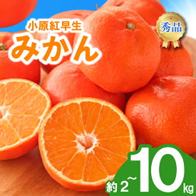 【ふるさと納税】 先行予約 みかん 蜜柑 約2kg 3kg 4.7kg 10kg 小原紅早生 小原紅早生みかん 柑橘 オレンジ 果物 フルーツ 果実 旬 家庭用 11月下旬～12月下旬 配送 選べる 容量 香川県 丸亀市