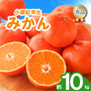 yӂ邳Ɣ[Łz s\ ݂  2kg 3kg 4.7kg 10kg g g݂ k IW ʕ t[c ʎ { ƒp 11{`12{ z Iׂ e 쌧 ۋTs