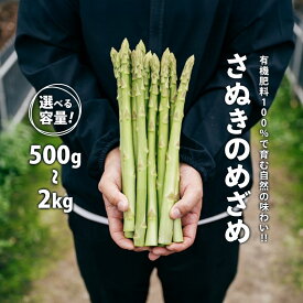 【ふるさと納税】 【2026年先行予約】 グリーンアスパラガス さぬきのめざめ 500g～2kg 有機肥料 朝採れ 産地直送 人気 新鮮 美味しい 甘い 特産 グルメ 青空レストラン サラダ BBQ アスパラ アスパラガス 高品質 希少 フレッシュ 野菜 旬 丸亀市 香川県 SUKINOKA スキノカ
