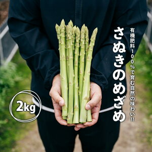 yӂ邳Ɣ[Łz O[AXpKX ʂ̂߂ 500g`2kg L@엿 ̂ lC VLVL VN  Â Y O 󃌃Xg o[xL[ T_ BBQ AXp AX