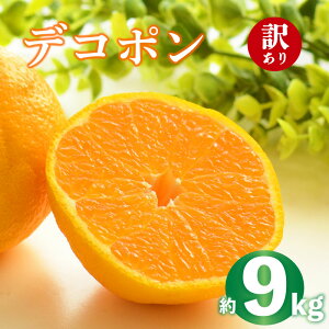 yӂ邳Ɣ[Łz 2026N s\ fR| 2g 4kg 9kg 󂠂 sm ʂ ݂ k  IW ʕ t[c ʎ { ƒp 2{`4{ z 쌧 ۋTs