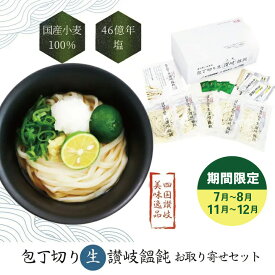 【ふるさと納税】 包丁切り生讃岐うどん お取り寄せセット 麺類 うどん
