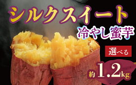 【ふるさと納税】 焼き芋 蜜芋 冷蔵 シルクスイート 約1.2kg 約2.4kg 芋 さつまいも おいも お芋 やきいも サツマイモ おやつ スイーツ デザート コグマ ダイエット 低GI 食物繊維 香川県 丸亀市