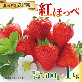 【ふるさと納税】 いちご 紅ほっぺ 苺 約 500g 1kg 【選べる配送月】 果物 フルーツ くだもの イチゴ ジューシー 果汁 果実 ケーキ ジュース ゼリー アイス ジャム デザート スイーツ ふるさと納税いちご ふるさと納税フルーツ 国産 香川県 丸亀市 発送期間：2月～5月