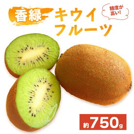 【ふるさと納税】 先行予約 キウイフルーツ 香緑 約750g 約1.2kg 果物 フルーツ キウイ グリーンキウイ デザート スイーツ ケーキ ジュース ゼリー アイス シャーベット ジェラート フルーツ大福 ドライフルーツ ギフト 家庭用 旬の果物 人気 おすすめ 香川県 丸亀市