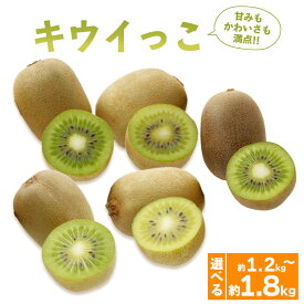 【ふるさと納税】 先行予約 キウイフルーツ キウイっこ 約1.2kg 約1.8kg 果物 フルーツ キウイ グリーンキウイ デザート スイーツ ケーキ ジュース ゼリー アイス シャーベット ジェラート フルーツ大福 ドライフルーツ ギフト 家庭用 旬の果物 人気 おすすめ 香川県 丸亀市