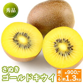 【ふるさと納税】 先行予約 キウイフルーツ さぬきゴールド 約900g 約1.3kg 果物 フルーツ キウイ ゴールドキウイ イエローキウイ デザート スイーツ ケーキ ジュース ゼリー アイス シャーベット ジェラート フルーツ大福 ドライフルーツ ギフト おすすめ 香川県 丸亀市