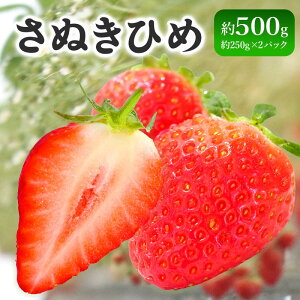 yӂ邳Ɣ[Łz s\  ʂЂ 500g ʕ t[c  fU[g XC[c P[L W[X [[ ACX V[xbg WF[g t[c啟 hCt[c N[v 