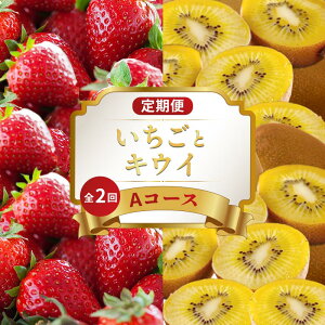yӂ邳Ɣ[Łz {̃t[c  2 AR[X ʕ t[c   ʂЂ LEC ʂS[hLEC LEC fU[g XC[c P[L ACX WF[g ӂ邳Ɣ[Œ