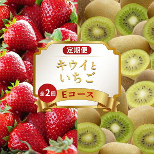 yӂ邳Ɣ[Łz {̃t[c  2 ER[X ʕ t[c   ʂЂ LEC LEC O[LEC fU[g XC[c P[L ACX WF[g ӂ邳Ɣ[Œ