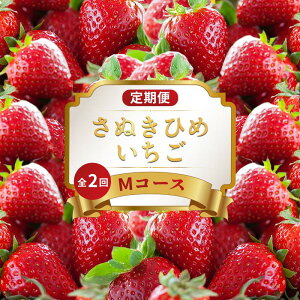 yӂ邳Ɣ[Łz ̒ 2 MR[X ʕ t[c   ʂЂ fU[g XC[c P[L [[ W[X ACX WF[g t[c啟 ӂ邳Ɣ[Œ  