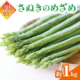 【ふるさと納税】 アスパラガス 訳あり 1kg 野菜 やさい グリーンアスパラガス 香川県 丸亀市
