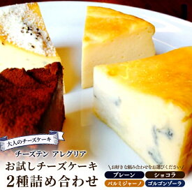 【ふるさと納税】 チーズケーキ ベイクド チーズ プレーン ショコラ パルミジャーノ ゴルゴンゾーラ 食べ比べ ハーフ&ハーフ 2種詰め合わせ セット スイーツ デザート おやつ チョコ チョコレート 紅茶 コーヒー ワイン ウイスキー 日本酒 チーズ専門店 セット 香川県 丸亀市