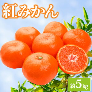 �y�ӂ邳�Ɣ[�Łz ��s�\�� �݂��� ��3kg 5kg �g�݂��� ���k �~�J�� ���� ���B�݂��� �I�����W �ʕ� �������� �t���[�c �ӂ邳�Ɣ[�� �Â� ���x �l�C �������� �f�U�[�g �X�C�[�c �A�C�X �V���[