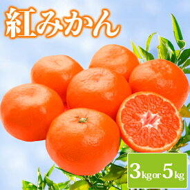 【ふるさと納税】 先行予約 みかん 約3kg 5kg 紅みかん 柑橘 ミカン 蜜柑 温州みかん オレンジ 果物 くだもの フルーツ ふるさと納税 甘い 糖度 人気 おすすめ デザート スイーツ アイス シャーベット ゼリー ふるさと納税みかん ふるさと納税柑橘 お取り寄せ 送料無料