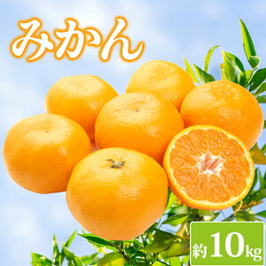 �y�ӂ邳�Ɣ[�Łz ��s�\�� �݂��� �I�ׂ�e�� ��5kg 10kg ���k �~�J�� ���� �I�����W ���B�݂��� �f�U�[�g �X�C�[�c �A�C�X �V���[�x�b�g �W�F���[�g �ʕ� �������� �t���[�c �ʎ� �ӂ邳�Ɣ[