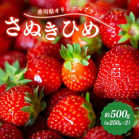 【ふるさと納税】 先行予約 いちご さぬきひめ 約500g～約2kg 果物 フルーツ 苺 デザート スイーツ ケーキ ジュース ゼリー アイス シャーベット ジェラート フルーツ大福 ドライフルーツ クレープ ギフト 旬の果物 旬 お取り寄せ グルメ 人気 おすすめ 香川県 丸亀市