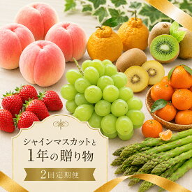 【ふるさと納税】 定期便 2回 選べる フルーツ 果物 野菜 シャインマスカット ゴールドキウイ キウイ 桃 もも いちご 苺 アスパラ デコポン みかん 温州みかん 小原紅早生 贈答用 ギフト プレゼント 旬 旬のフルーツ 香川県 丸亀市