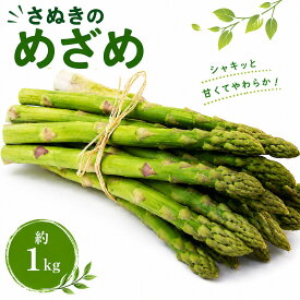 【ふるさと納税】アスパラガス 生でも食べられる驚きの甘さ！香川県オリジナル品種「さぬきのめざめ」約1kg 国産アスパラガス さぬきのめざめ アスパラ 新鮮 野菜 甘い やわらかい シャキシャキ 生食OK 朝採れ 旬 厳選 お取り寄せ 人気 贈答用 家庭用 高品質 香川県 丸亀市