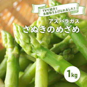 yӂ邳Ɣ[Łz AXpKX ʂ̂߂ t 1kg AXp O[AXp  { {̖ G߂̖ Yn  쌧 ۋT ۋTs ① ①z s \ s\ 2026 20
