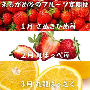 yӂ邳Ɣ[Łz y~̒3zۋT̃t[cyGAzsz ʕ   C`S ݂ ʂЂ gق ͂ t[c 쌧 ۋTs