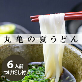 【ふるさと納税】 さぬきうどん 6人前 200g×3 かけ つけ だし付 うどん 讃岐うどん 丸亀うどん 饂飩 麺 半生麺 かけうどん ぶっかけうどん 釜たまうどん おすすめ 個包装 常温 常温保存 備蓄 保存食 非常食 防災 ローリングストック 自宅用 家庭用 ギフト 贈答 プレゼント