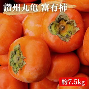 yӂ邳Ɣ[Łz xL` 7.5kg ]BۋT ` Ê` t[c ʕ fU[g  { Yn ~̖o {̉ʕ {̃t[c    쌧  10{蔭