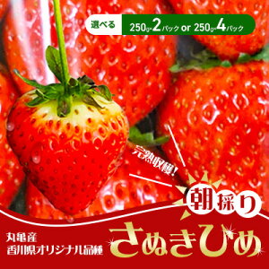 yӂ邳Ɣ[Łz  s\ ̂ ʂЂ 250g×2pbN / 250g×4pbN Iׂe ۋTY t[c ʕ fU[g { Yn {̉ʕ {̃t[c ① ①z s \ 2