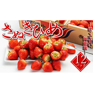 【ふるさと納税】 【お届け:2026年1月中旬-2026年4月中旬】いちご 先行予約 秀品 さぬきひめ 12パック 丸亀の紅い宝石 フルーツ 果物 デザート 旬 産地直送 旬の果物 旬のフルーツ お取り寄せ