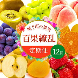 yӂ邳Ɣ[Łz t[c  12 鉺̉ʎ S㇗ Zbg lߍ킹  ݂ fR| ͂ т  sI[l  VC}XJbg S[hLEC ` xL` 