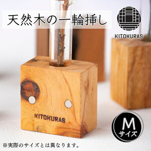 yӂ邳Ɣ[Łz VR؂֑̈} MTCY / KITOKURAS ԕr   CeA  VR@͂F2025N1{ȍ~\
