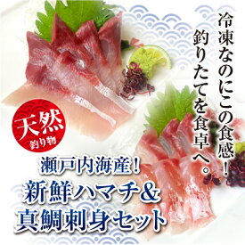 【ふるさと納税】 【瀬戸内海産！新鮮ハマチ＆真鯛刺身セット】贅沢5パック（ハマチ×3・真鯛×2）新鮮 刺身 食べ比べ 魚 一本釣り 海産物 海の幸 魚介 魚介類 真鯛 ハマチ 冷凍 冷凍配送 香川県 香川 丸亀