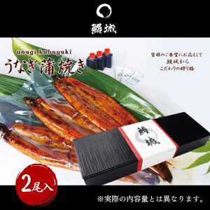 【ふるさと納税】 鰻 国産 うなぎの蒲焼き 2尾入(特製タレ付) / 鰻城 うなぎ ウナギ 蒲焼 簡単調理 時短 小分け 電子レンジ お届け:2025年1月中旬以降順次発送予定