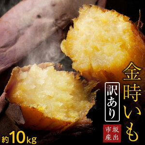 yӂ邳Ɣ[Łz2026N8{ȍ~Es\񁄁y󂠂zo@5kg×2@2L`MTCY | 쌧 os  l ԗi 񂹃O  O Hi ܂