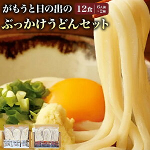 【ふるさと納税】【坂出のうどん】がもうと日の出のぶっかけうどんセット 約2人前×3袋入×2種 | 日の出製麺所 坂出市 うどん 讃岐うどん さぬきうどん 生うどん めん 麺 生麺 常温 詰め合わ
