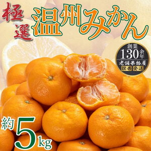 【ふるさと納税】極撰!温州みかん 約5kg |みかん フルーツ 旬 美味しい みかん 新鮮 フルーツ みかん 詰合せ セット フルーツ 人気 フルーツ 厳選 おすすめ フルーツ