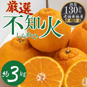 【ふるさと納税】濃厚ぷりっぷりっ♪厳選「不知火(しらぬひ)」約3kg