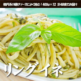 【ふるさと納税】生パスタ リングイネ 4.8kg 48食分( 麺 400g：4食 × 12袋 )｜生麺 | 麺 食品 加工食品 人気 おすすめ 送料無料