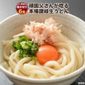 【ふるさと納税】讃岐うどん6食つゆ付（極太麺） | 麺 めん うどん 食品 加工食品 人気 おすすめ 送料無料 さぬき 讃岐 坂出市 香川県