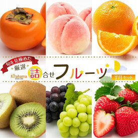 【ふるさと納税】旬を見極めた厳選フルーツ詰め合わせ【半月セット】（3～5品種）1回便