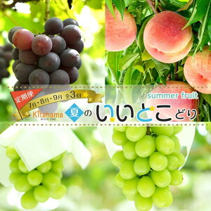 yӂ邳Ɣ[ŁzĂ̂Ƃǂ y7E8E9zS3