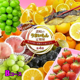【ふるさと納税】坂出産のフルーツとさぬきの特産品の定期便4回【Bコース】 | 香川県 坂出市 香川 四国 楽天ふるさと 納税 返礼品 支援 お取り寄せグルメ 取り寄せ グルメ 食品 フルーツ 果物 くだもの 国産 セット 定期 定期便 お取り寄せ ご当地 讃岐 ご当地グルメ 自宅用