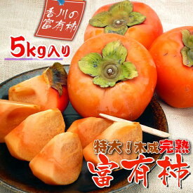 【ふるさと納税】一度は食べたい香川産の完熟富有柿の詰め合わせ約5kg | 香川県 坂出市 香川 四国 楽天ふるさと 納税 返礼品 お取り寄せグルメ 取り寄せ グルメ 食品 フルーツ 果物 くだもの 柿 カキ かき 富有柿 自宅用 家庭用 お取り寄せ 特産品 ご当地 おいしい 美味しい