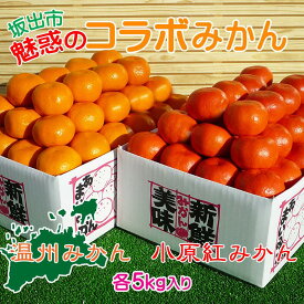 【ふるさと納税】≪先行受注≫小原紅早生 & 完熟温州 セット 約10kg ( 小原紅早生みかん約5kg & 完熟温州みかん約5kg ) S ～ Lサイズ ｜ みかん | フルーツ 果物 くだもの 食品 人気 おすすめ 送料無料