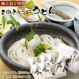 【ふるさと納税】極上包丁切りさぬき半生うどん【半生うどん（約200g×6）、麺つゆ（約15ml×12）】 | 麺 食品 加工食品 人気 おすすめ 送料無料
